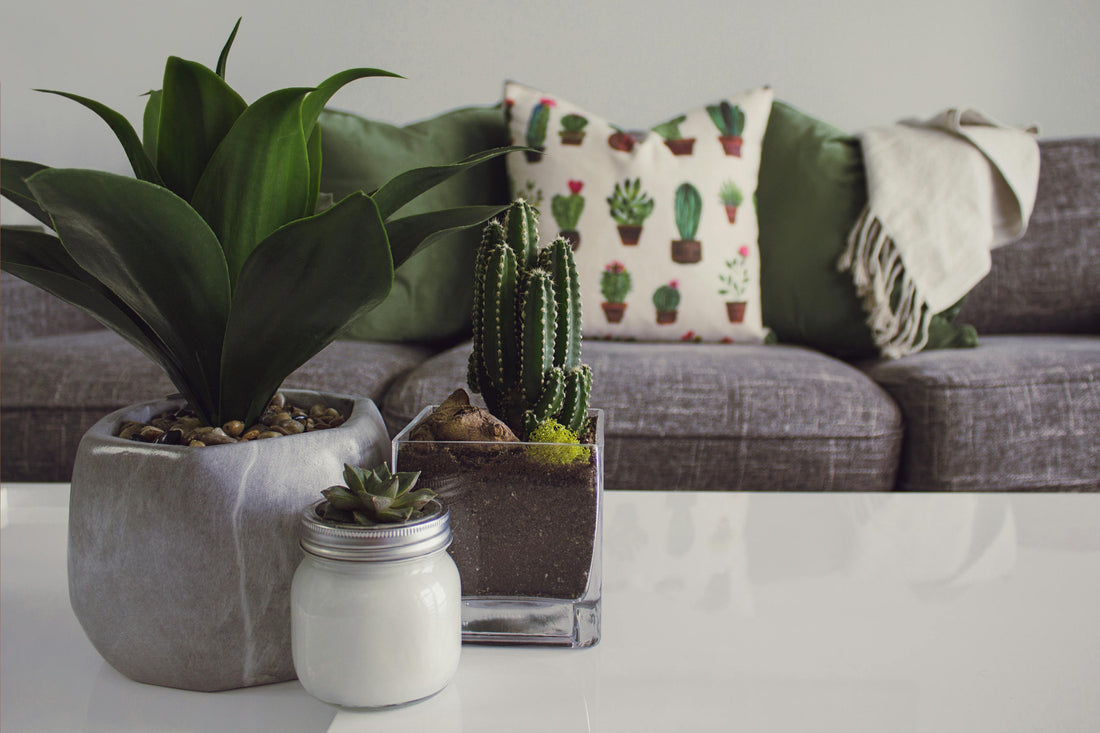 Crafting Your Dream Living Room: A Comprehensive Home Décor Guide