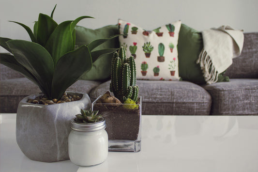 Crafting Your Dream Living Room: A Comprehensive Home Décor Guide