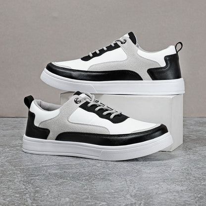 Cavillaro Urban Sneakers
