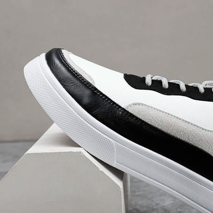 Cavillaro Urban Sneakers